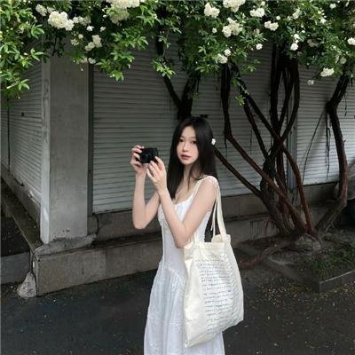 企鹅之岛:福克兰